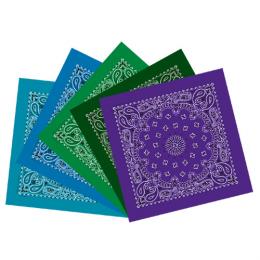 定番ペイズリー柄　バンダナ　全5色(A)