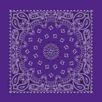 定番ペイズリー柄　バンダナ　全5色(A)