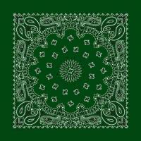 定番ペイズリー柄　バンダナ　全5色(A)