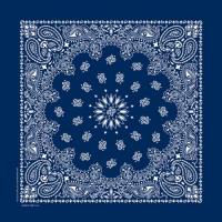 定番ペイズリー柄　バンダナ　全5色(B)