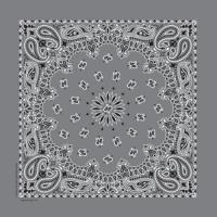 定番ペイズリー柄　バンダナ　全5色(B)