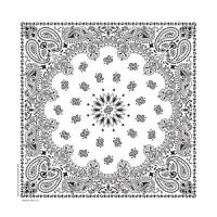 定番ペイズリー柄　バンダナ　全5色(B)