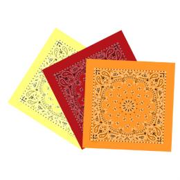 定番ペイズリー柄　バンダナ　全3色(D)