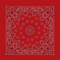 定番ペイズリー柄　バンダナ　全3色(D)