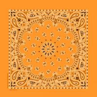 定番ペイズリー柄　バンダナ　全3色(D)