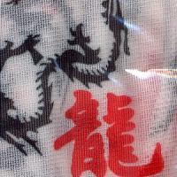 Du-Rag 龍 (WHITE)